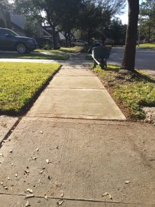 uprooted sidewalk fixed