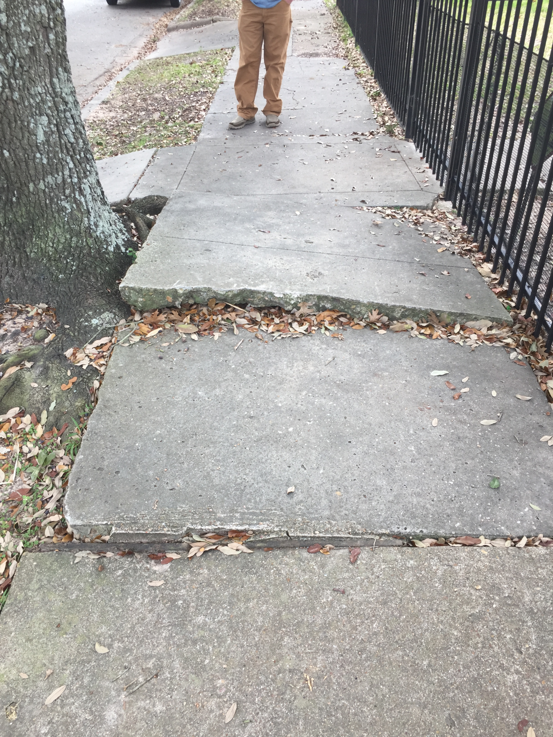 Sidewalk Lowering & Tree Root Removal In Houston